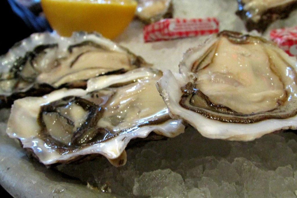 Oysters